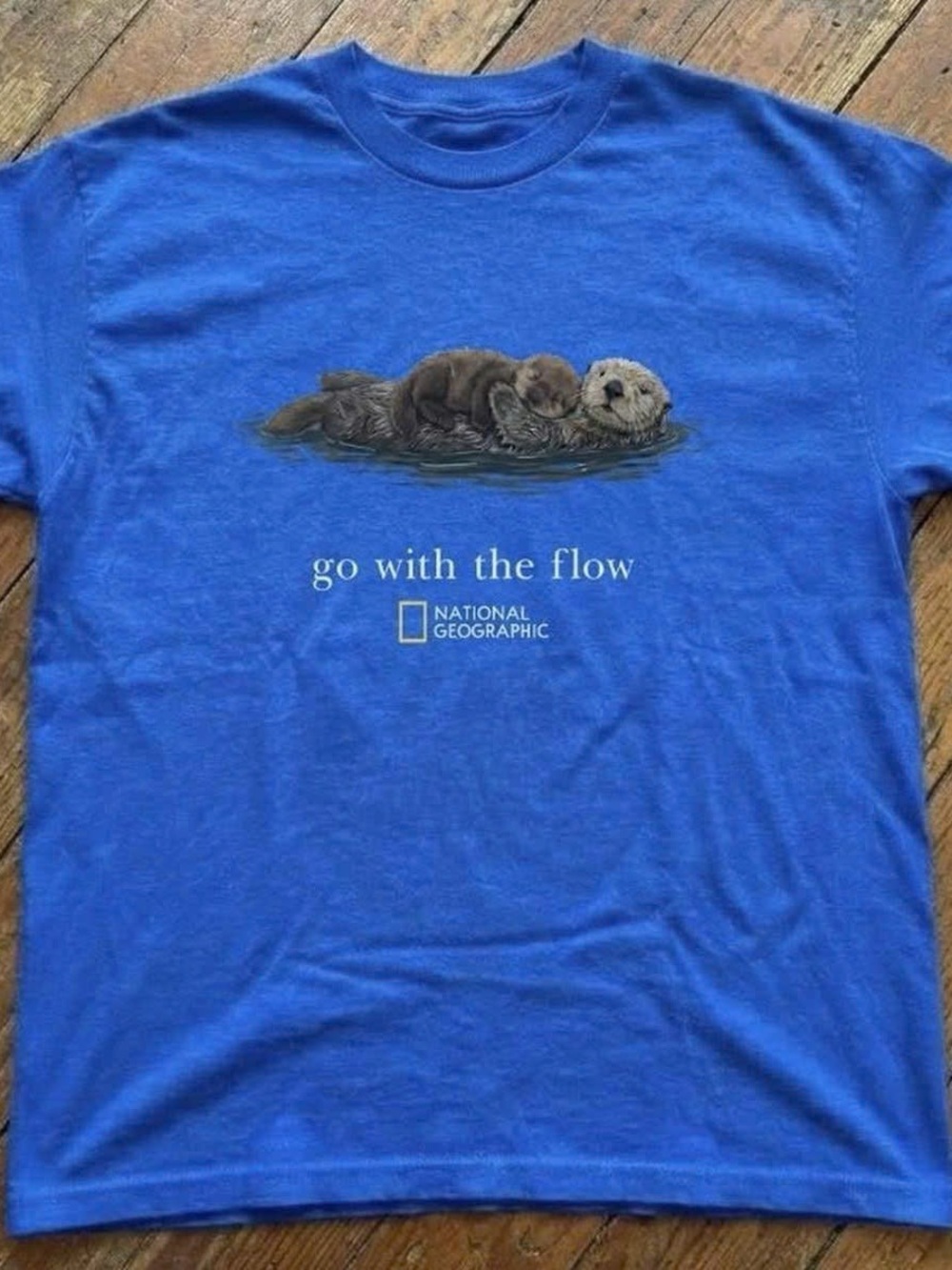 Gildan Royal Blue 'Go With The Flow' National Geographic Otter Tee